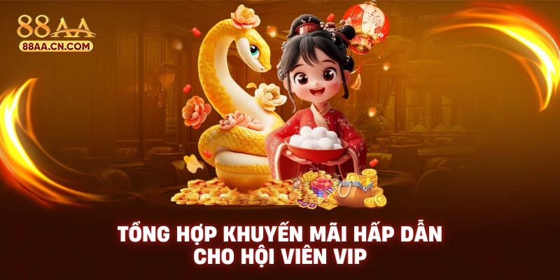 Tổng hợp khuyến mãi hấp dẫn cho hội viên VIP
